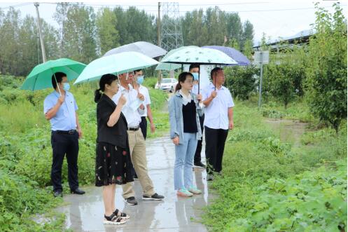 信阳农林学院：同心打赢涝疫“双考” 聚力助农灾后重建