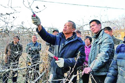 李保国：绿了荒山 富了百姓