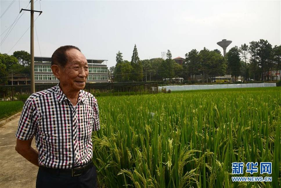 小小少年们，还记得大声讲出“长大当科学家”的那个自己吗？