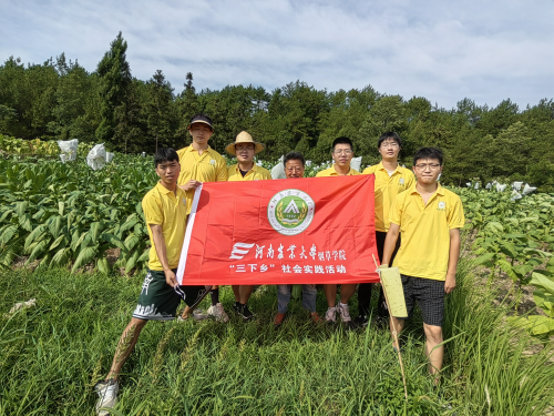 学党史、强信念、跟党走，服务雪茄烟产区、振兴乡村！