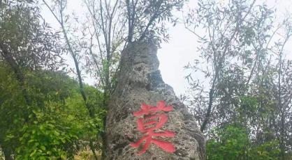 茁壮成长是种子的追求