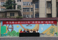 平顶山市平马路小学举行2023年国家学生体质健康测试