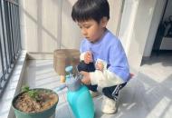 美秀小学开展“绿色点亮生活，健康护佑生命”主题实践活动