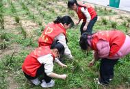 新县新星小学：携手添新绿 护绿我先行