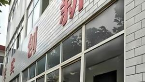 梧桐叶上的时光密码