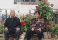 家书寄深情：一封写给退休老教师父亲的信